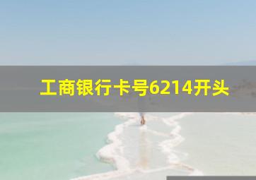 工商银行卡号6214开头