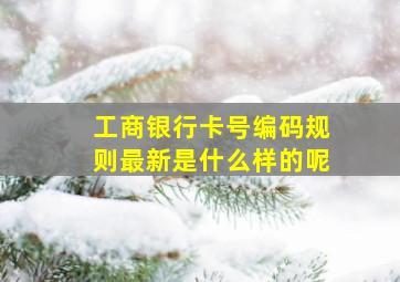 工商银行卡号编码规则最新是什么样的呢