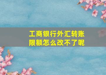 工商银行外汇转账限额怎么改不了呢