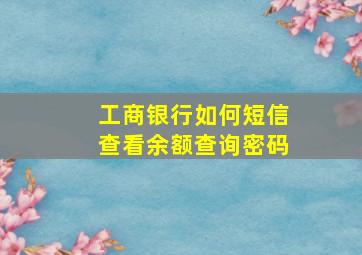 工商银行如何短信查看余额查询密码