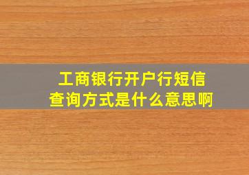 工商银行开户行短信查询方式是什么意思啊