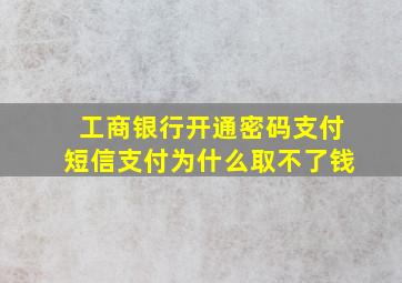 工商银行开通密码支付短信支付为什么取不了钱