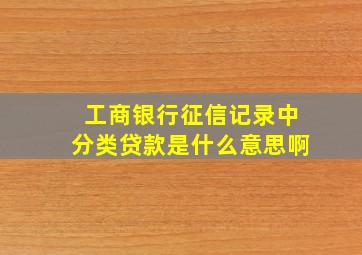 工商银行征信记录中分类贷款是什么意思啊