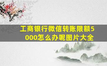 工商银行微信转账限额5000怎么办呢图片大全