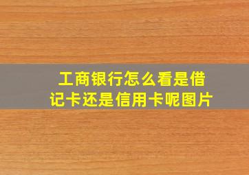 工商银行怎么看是借记卡还是信用卡呢图片