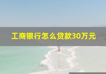 工商银行怎么贷款30万元