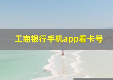 工商银行手机app看卡号