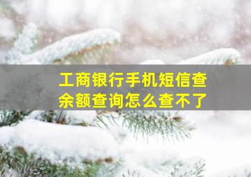 工商银行手机短信查余额查询怎么查不了