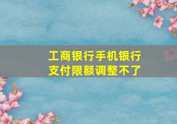 工商银行手机银行支付限额调整不了