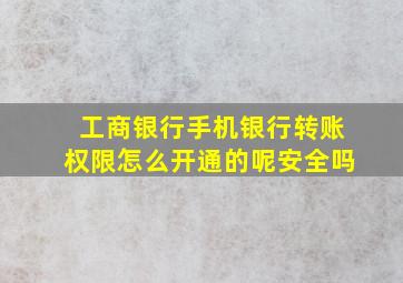 工商银行手机银行转账权限怎么开通的呢安全吗