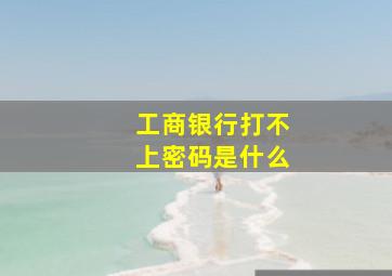 工商银行打不上密码是什么