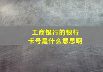 工商银行的银行卡号是什么意思啊