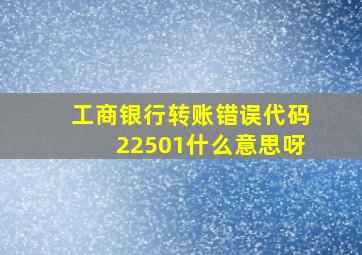 工商银行转账错误代码22501什么意思呀