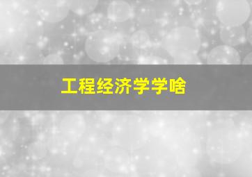 工程经济学学啥