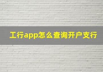 工行app怎么查询开户支行