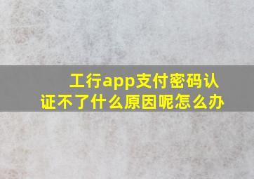 工行app支付密码认证不了什么原因呢怎么办