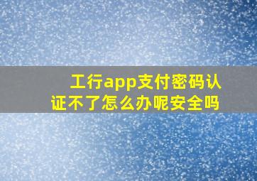 工行app支付密码认证不了怎么办呢安全吗