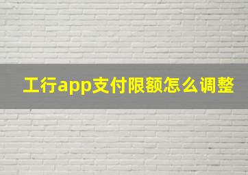 工行app支付限额怎么调整