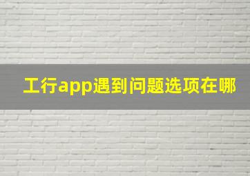 工行app遇到问题选项在哪