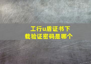 工行u盾证书下载验证密码是哪个