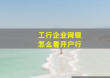 工行企业网银怎么看开户行