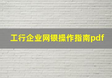 工行企业网银操作指南pdf