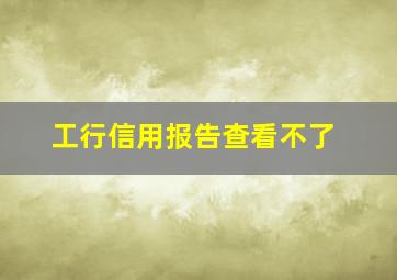 工行信用报告查看不了