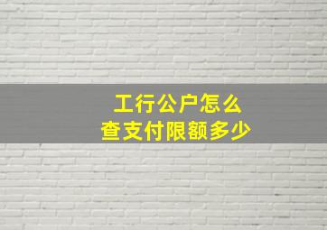 工行公户怎么查支付限额多少