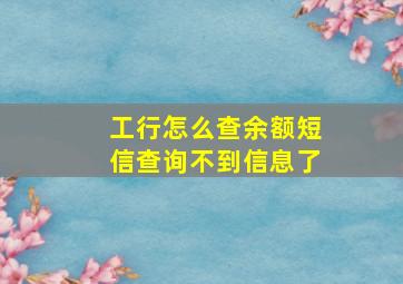 工行怎么查余额短信查询不到信息了