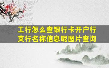 工行怎么查银行卡开户行支行名称信息呢图片查询