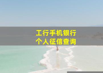 工行手机银行个人征信查询