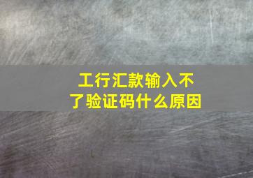 工行汇款输入不了验证码什么原因