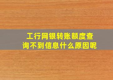 工行网银转账额度查询不到信息什么原因呢