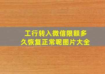 工行转入微信限额多久恢复正常呢图片大全