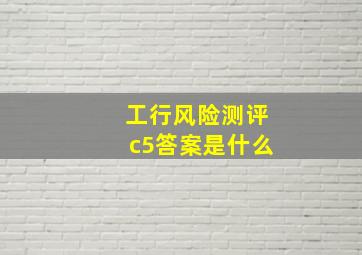 工行风险测评c5答案是什么