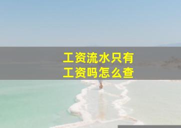 工资流水只有工资吗怎么查