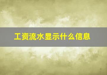 工资流水显示什么信息