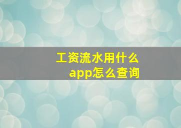 工资流水用什么app怎么查询