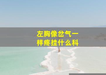 左胸像岔气一样疼挂什么科