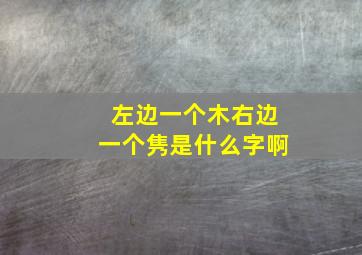 左边一个木右边一个隽是什么字啊