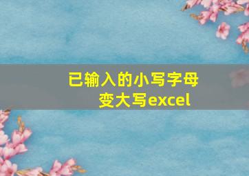 已输入的小写字母变大写excel