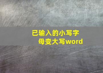 已输入的小写字母变大写word