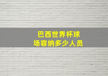 巴西世界杯球场容纳多少人员