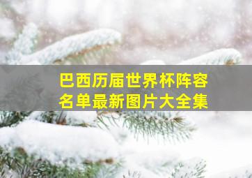 巴西历届世界杯阵容名单最新图片大全集