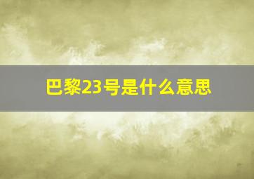 巴黎23号是什么意思