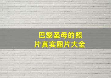 巴黎圣母的照片真实图片大全