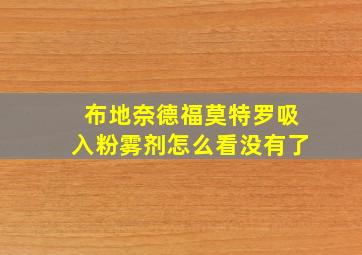 布地奈德福莫特罗吸入粉雾剂怎么看没有了