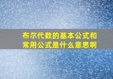 布尔代数的基本公式和常用公式是什么意思啊