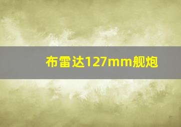 布雷达127mm舰炮