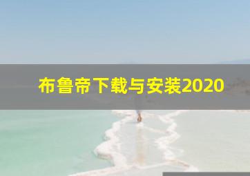 布鲁帝下载与安装2020